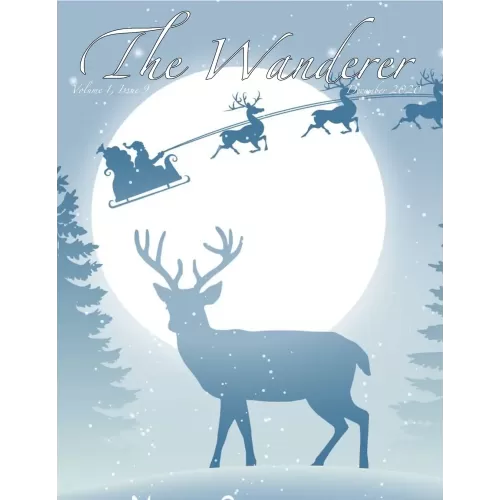 The Jerx – December 2020 – The Wanderer 1 Issue 9 by Andy