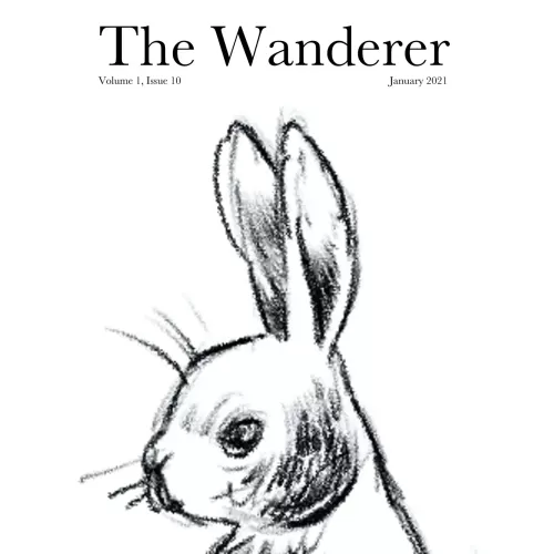The Jerx – January 2021 – The Wanderer 1 Issue 10 by Andy