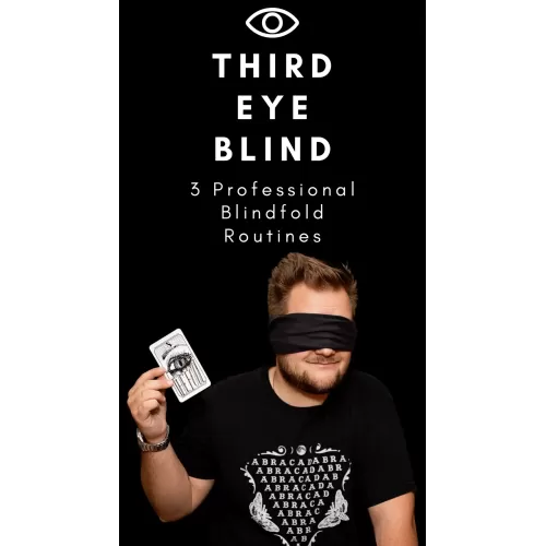 Third Eye Blind by Joe Diamond