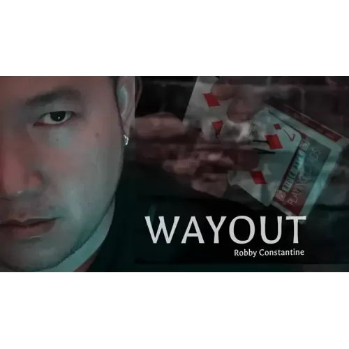 Wayout by Robby Constantine
