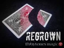 Ebbytones – Regrown