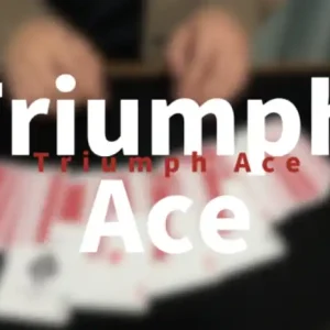 Triumph Ace By Miku W