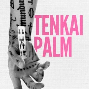 Daniel Madison – The TENKAI PALM Masterclass