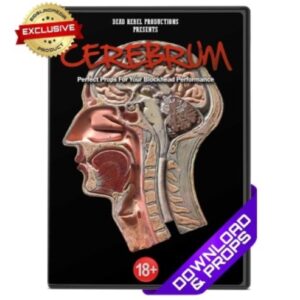 Cerebrum by Dead Rebel