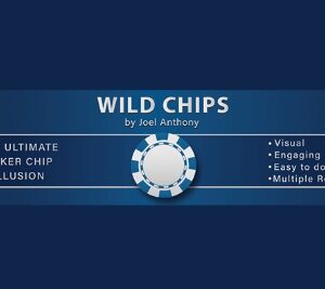 Wild Chips by Joel Anthony