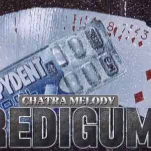 Predigum by Melody chatra
