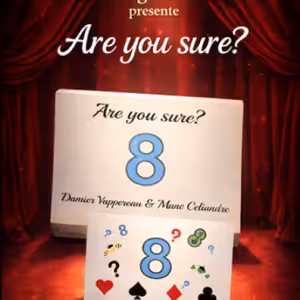 Are You Sure by Damien Vappereau and Marc Celiandre