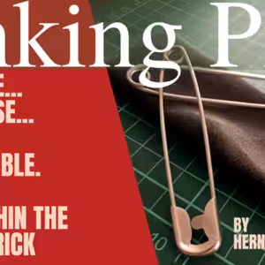 Linking Pins by Hernan Maccagno