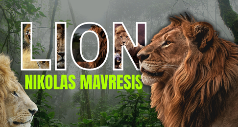 LION by Nikolas Mavresis