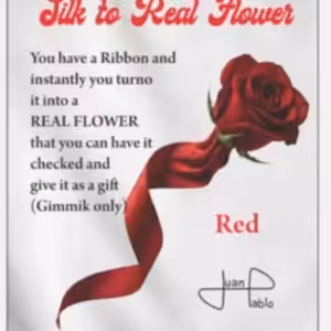 Silk to Real Flower by Juan Pablo
