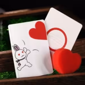 The Heartful Rabbit by WZ
