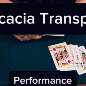 Acacia Transpo by Keito K