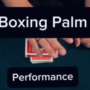Boxing Palm by Keito K