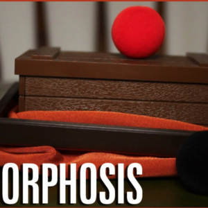 MINI MORPHOSIS ou LA MINI-MALLE DES INDES by Tenyo