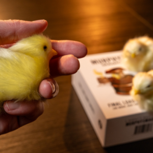 The Final Load (Baby Chicks) by Murphy s Magic