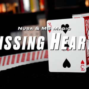 Missing Hearts by Nusa & MS Magic
