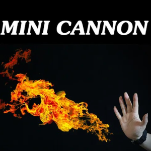 Mini Cannon (Remote Control)