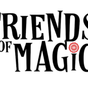 Friends of Magic by S.A.M