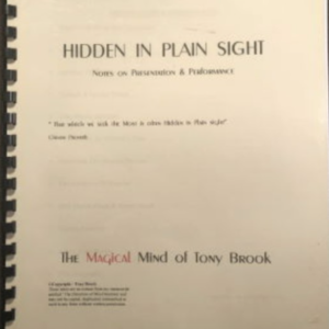 Hidden in Plain Sight by Tony Brook