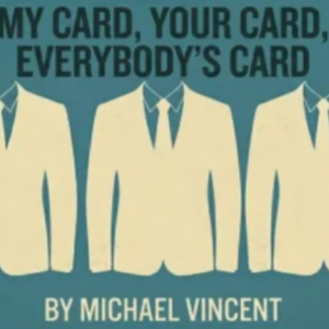 My Card, Your Card, Everybodys Card by Michael Vincent