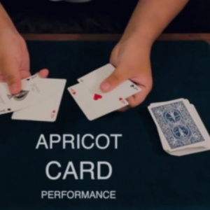 Apricot Card by Keito K