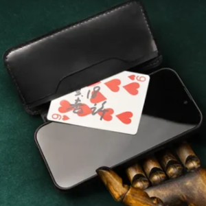 Daily Case by Joshua Kaufmann
