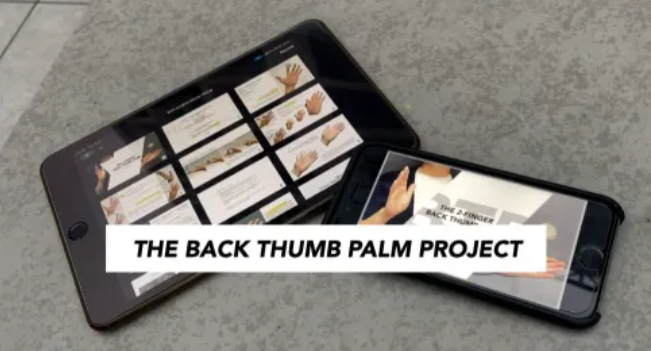 BTP Project By Micky Wong (Video+PDF)