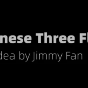 Chinese 3 Fly by Jimmy Fan & Artisan Coin